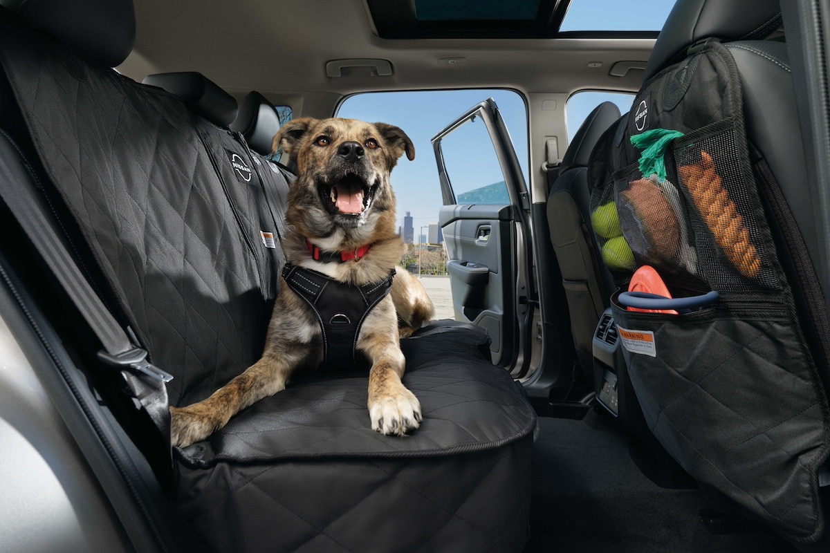 Nissan accessoires animaux