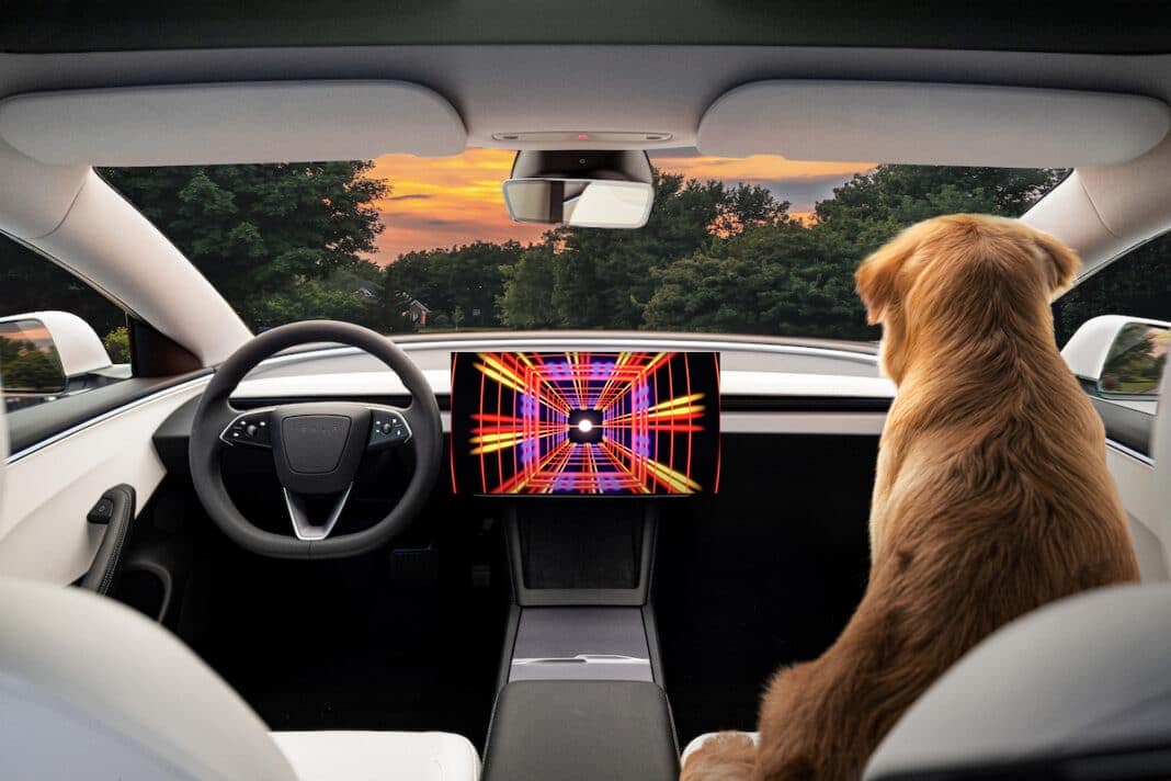 Tesla FSD Autopilot HURRY